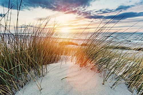 DÜNEN Fototapete VLIES-400x260 cm (1099A)-Nordsee Dünen Strand Meer Sonnenuntergang Landschaft Wandtapete-Inkl. Kleister-Vliestapete Bild Dekoration Wand-Dekor Moderne Motiv-Tapete Panorama Poster XXL von FOTOTAPETENDRUCK