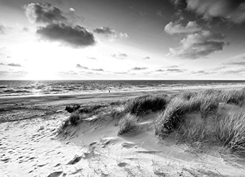 DÜNEN Fototapete VLIES-450x280 cm (1553A)-Nordsee See Strand Meer Landschaft Schwarz Weiß Wandtapete-Inkl. Kleister-Vliestapete Bild Dekoration Wand-Dekor Moderne Motiv-Tapete Panorama Poster XXL von FOTOTAPETENDRUCK