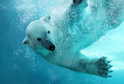 EISBÄR Fototapete VLIES-450x280 cm (4059A)-Unterwasser Meer Fische Tiere Bären Bär Eisbären Wandtapete-Inkl. Kleister-Vliestapete Bild Dekoration Wand-Dekor Moderne Motiv-Tapete Panorama Poster XXL von EISBÄR