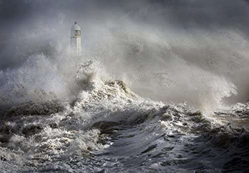 LEUCHTTURM Fototapete VLIES-300x223 cm (6413A)-Natur See Meer Küste Schwarz Weiß Fotokunst Wandtapete-Inkl. Kleister-Vliestapete Bild Dekoration Wand-Dekor Moderne Motiv-Tapete Panorama Poster XXL von FOTOTAPETENDRUCK