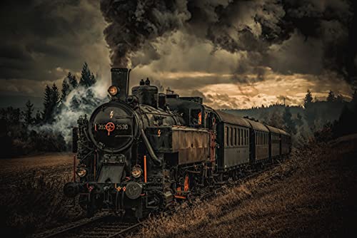 LOKOMOTIVE Fototapete VLIES-300x223 cm (6418A)-Oldtimer Autos Zug Eisenbahn Design Fotokunst Wandtapete-Inkl. Kleister-Vliestapete Bild Dekoration Wand-Dekor Moderne Motiv-Tapete Panorama Poster XXL von LOKOMOTIVE