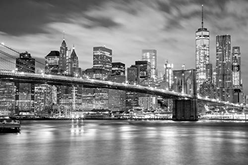 NEW YORK Fototapete VLIES-300x223 cm (842A)-Manhattan Skyline Brooklyn Bridge Times Square Wandtapete-Inkl. Kleister-Vliestapete Bild Dekoration Wand-Dekor Moderne Motiv-Tapete Panorama Poster XXL von NEW YORK