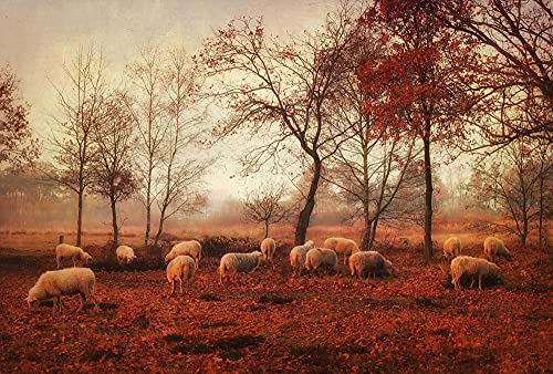 SCHAFE Fototapete VLIES-400x260 cm (6401A)-Natur Landschaft Herbst Bäume Wald Tiere Fotokunst Wandtapete-Inkl. Kleister-Vliestapete Bild Dekoration Wand-Dekor Moderne Motiv-Tapete Panorama Poster XXL von FOTOTAPETENDRUCK