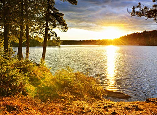 SEE Fototapete VLIES-300x223 cm (529A)-Natur Landschaft Sonnenuntergang Gebirge Bäume Wald Wandtapete-Inkl. Kleister-Vliestapete Bild Dekoration Wand-Dekor Moderne Motiv-Tapete Panorama Poster XXL von FOTOTAPETENDRUCK