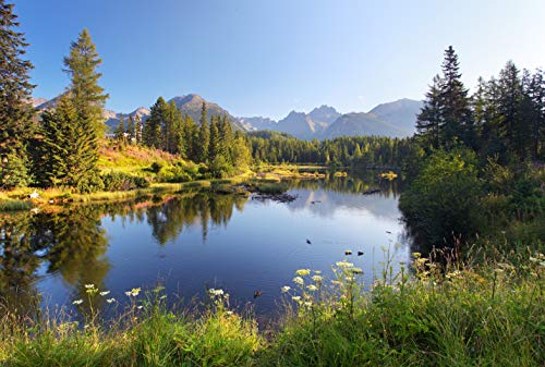 SEE Fototapete VLIES-300x223 cm (967A)-Natur Landschaft Berge Gebirge Alpen Blumen Wald Bäume Wandtapete-Inkl. Kleister-Vliestapete Bild Dekoration Wand-Dekor Moderne Motiv-Tapete Panorama Poster XXL von FOTOTAPETENDRUCK