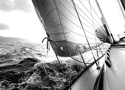 SEGELBOOT Fototapete VLIES-300x223 cm (1475A)-Natur See Küste Schiff Meer Schwarz-Weiß Wandtapete-Inkl. Kleister-Vliestapete Bild Dekoration Wand-Dekor Moderne Motiv-Tapete Panorama Poster XXL von SEGELBOOT