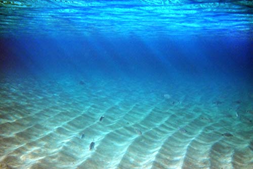 UNTERWASSER Fototapete VLIES-250x186 cm (4023A)-Strand Küste Dünen Fische Natur Korallen Meer Wandtapete-Inkl. Kleister-Vliestapete Bild Dekoration Wand-Dekor Moderne Motiv-Tapete Panorama Poster XXL von FOTOTAPETENDRUCK