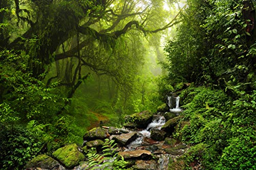 WALD Fototapete VLIES-500x280 cm (1047A)-Natur Landschaft See Bäume Wasserfall Dschungel Wandtapete-Inkl. Kleister-Vliestapete Bild Dekoration Wand-Dekor Moderne Motiv-Tapete Panorama Poster XXL von FOTOTAPETENDRUCK