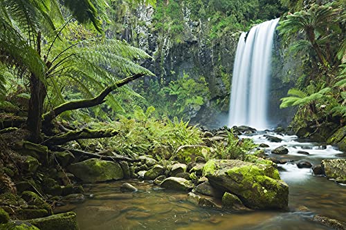 WASSERFALL Fototapete VLIES-300x223 cm (2731A)-Natur Landschaft Bäume Regenwald Pflanzen Dschungel Wald-Inkl. Kleister-Vliestapete Bild Dekoration Wand-Dekor Moderne Motiv-Tapete Panorama Poster XXL von FOTOTAPETENDRUCK