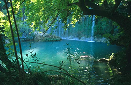 WASSERFALL Fototapete VLIES-450x280 cm (5531A)-Natur Bäume Regenwald Pflanzen Dschungel Wald Wandtapete-Inkl. Kleister-Vliestapete Bild Dekoration Wand-Dekor Moderne Motiv-Tapete Panorama Poster XXL von FOTOTAPETENDRUCK