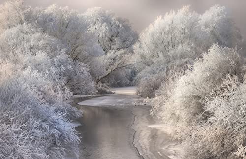 WINTERLANDSCHAFT Fototapete VLIES-250x186 cm (6508A)-Natur Landschaft Bäume Wald Fotokunst Wandtapete-Inkl. Kleister-Vliestapete Bild Dekoration Wand-Dekor Moderne Motiv-Tapete Panorama Poster XXL von FOTOTAPETENDRUCK