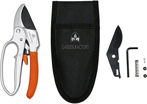 Garden Factory - Zahnstangenschere - Ersatzklinge und Feder - Astschneider - Gärtnerschere - Astschere Garden Factory - Zahnstangenschere - Ersatzklinge und Feder - Astschneider - Gärtnerschere - Astschere von FOXCUP