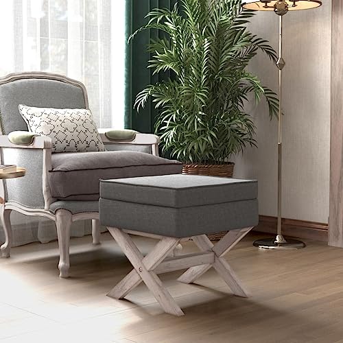 FOZICV Sitzbank Aufbewahrungsbank Weicher Samt Multifunktional Sitzmöbel für Wohnzimmer oder Schlafzimmer Inneneinrichtung Klassisches Design Hellgrau 45x45x49 cm von FOZICV