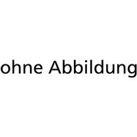 FP - Akku-Nietpistole solo AccuBirdPRO Gesipa ohne Akku ohne Ladegerät Karton von FP