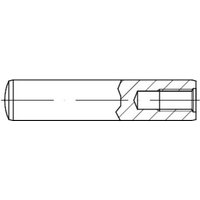 FP - din 7979 Zylinderstift mit Innengewinde, st d 5x10 hp 100 Stk von FP