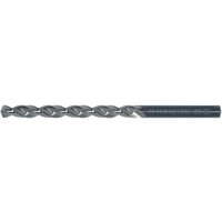 Maykestag Spiralbohrer D340 Forte hsse 12,00 mm - Alpen-maykestag von ALPEN-MAYKESTAG