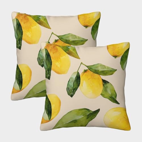 FPAKAKIIE Zitrone Dekorative Fruits Kissenbezüge, Quadratische Form Im 2er Set, Perfekt Für Living Room Accent Und Outdoor Leisure, Maschinenwaschbar 50x50cm von FPAKAKIIE