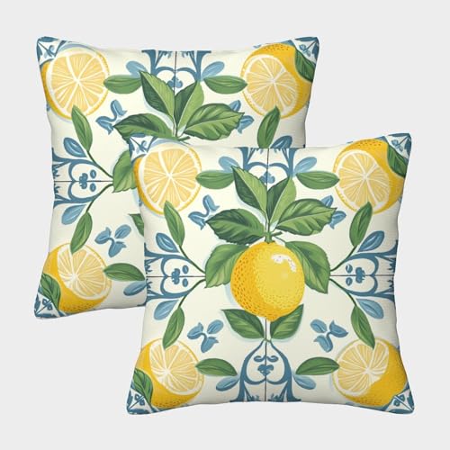FPAKAKIIE Zitrone Gemusterte Fruits Kissenbezüge Im 2er-Set, Geeignet Für Living Room Accent Und Bedroom Comfort, Leicht Zu Reinigen 40x40cm von FPAKAKIIE