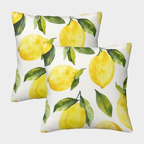 FPAKAKIIE Zitrone Gemusterte Fruits Kissenbezüge Im 2er-Set, Geeignet Für Living Room Accent Und Bedroom Comfort, Leicht Zu Reinigen 40x40cm von FPAKAKIIE