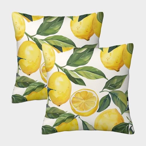 FPAKAKIIE Zitrone Hochwertige Kissenbezüge 2er Set Mit Reißverschluss - Fruits Für Sofa, Schlafzimmer, Auto Allergikerfreundliches Material 40x40cm von FPAKAKIIE