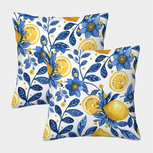 FPAKAKIIE Zitrone Quadratische Fruits Kissenbezüge Im 2er-Set, Geeignet Für Bedroom Comfort Und Outdoor Leisure, Leicht Zu Reinigen 40x40cm von FPAKAKIIE