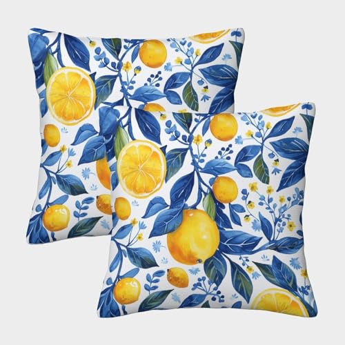 FPAKAKIIE Zitrone Weiche Fruits Kissenbezüge, Quadratische Form Im 2er Set, Perfekt Für Home Decor Und Outdoor Leisure, Maschinenwaschbar 40x40cm von FPAKAKIIE