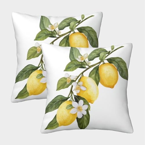 FPAKAKIIE Zitrone Weicher Fruits Kissenbezug, Quadratische Form Im 2er Set, Perfekt Für Stylish Accessory Und Pet Corner, Maschinenwaschbar 45x45cm von FPAKAKIIE
