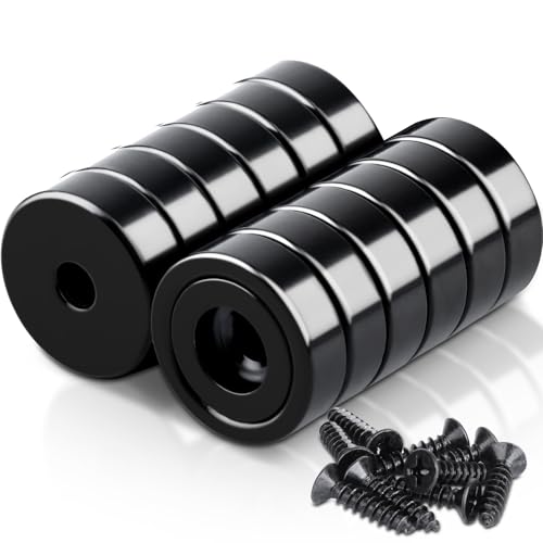 12 Stück Magnete Stark 16x5 mm Schwarz, Neodym Magnete Extra Stark 6 KG Kraft mit Loch und Kapsel Magnete Stark für Küchen, Badezimmer, Büros, Lager von FPMYB