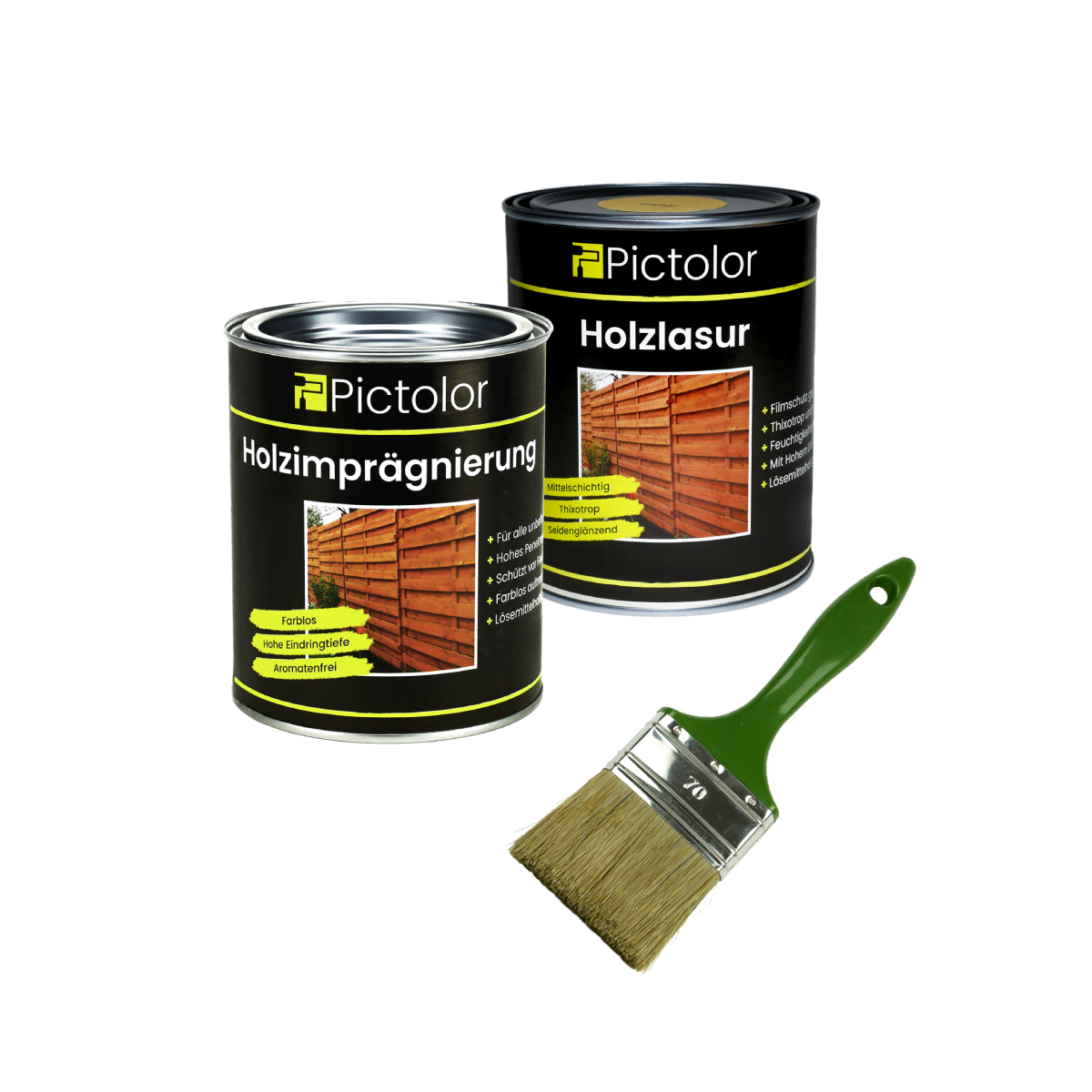 Pictolor® Holzschutz-Set mit Werkzeug von FPT Group GmbH