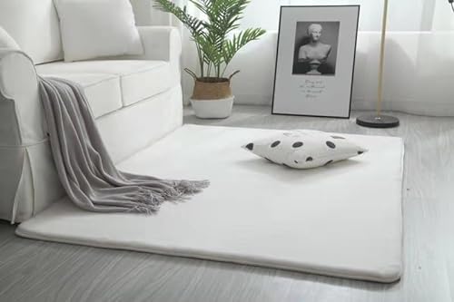 FQDZ Moderner einfacher, rutschfester Plüsch-Teppich für Wohnzimmer, weicher Shaggy-Teppich, mehrfarbig, 10 Größen, Heimdekoration, weiches Kissen (F,100 x 200 cm) von FQDZ