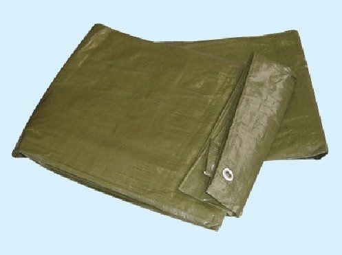 Plane Abdeckplane mit Ösen. 3 x 2. von FRA