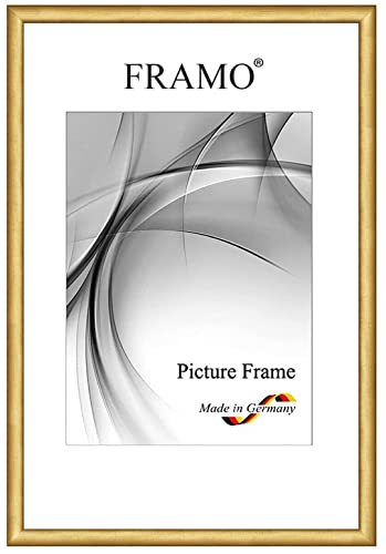 FRAMO Holz Bilderrahmen Schmal 25 x 25 cm aus Massivholz quadratisch | Gold | Farbe/Größe wählbar | Rahmen für Poster | Puzzle | Foto collage N°081 von FRAMO