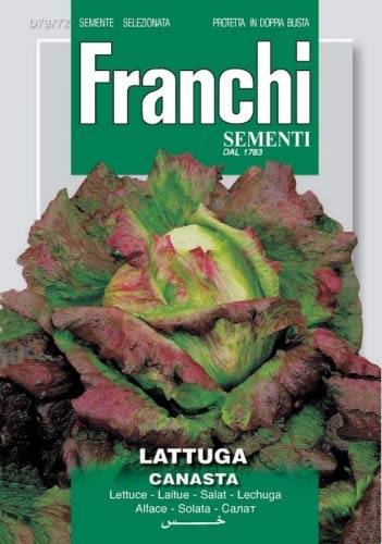 Salat Canasta von FRANCHI