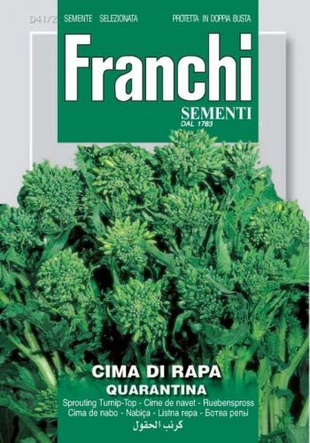 Stängelkohl/Cima di rapa Quarantina von FRANCHI