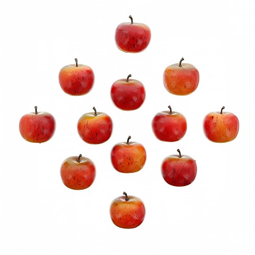 FRANK FLECHTWAREN Apfel Rot, im 12er Set, vielseitig einsetzbar, lebendige Farben von FRANK FLECHTWAREN