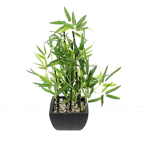 Dekopflanze, Bambus, Bambuspflanze, Kunstpflanze, Bambus im Topf Topf ca. 14 x 14 x 9 cm, GH 45 cm von FRANK FLECHTWAREN