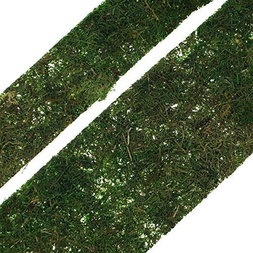 Band "Moos", im 2er Set Band "Moos", im 2er Set von FRANK FLECHTWAREN