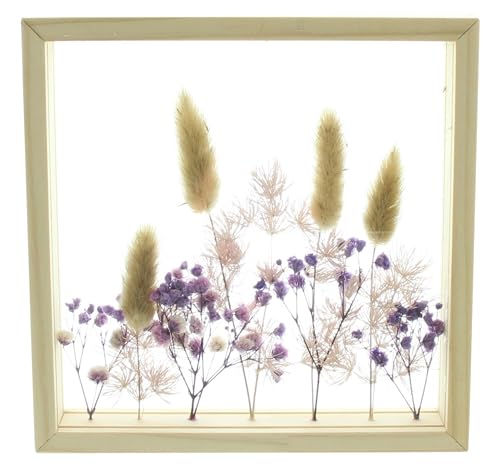 FRANK FLECHTWAREN Deko-Rahmen Trockenblumen, Holz, Acrylglas Maße: 17 x 17 cm von FRANK FLECHTWAREN