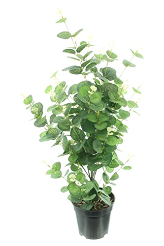 FRANK FLECHTWAREN Eukalyptus Pflanze, Kunstpflanze, Topfpflanze Höhe ca. 65 cm von FRANK FLECHTWAREN