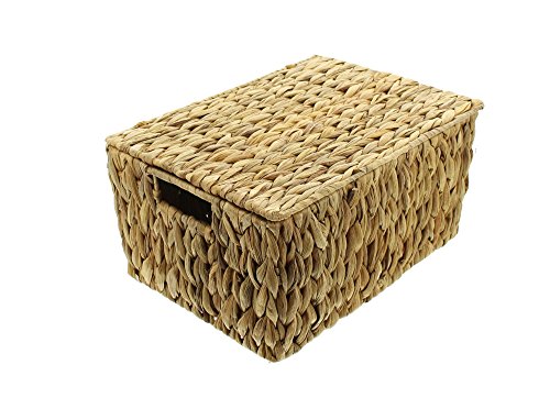 Universaltruhe, groß von FRANK FLECHTWAREN