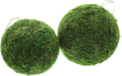 FRANK FLECHTWAREN Hänger Mooskugel, 2er Set, Naturmoos, Kunststoffkörper Maße: Ø 18 cm, 23 cm FRANK FLECHTWAREN Hänger Mooskugel, 2er Set, Naturmoos, Kunststoffkörper Maße: Ø 18 cm, 23 cm von FRANK FLECHTWAREN