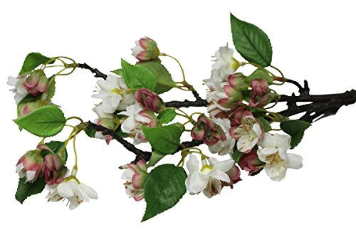 FRANK FLECHTWAREN Kunstblume Kirschzweig, im 2er Set, vielseitig anwendbar, täuschend echt von FRANK FLECHTWAREN