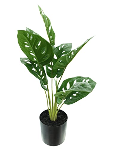FRANK FLECHTWAREN Kunstpflanze 'Monstera' Topfpflanze, Grünpflanze Kunststoff, Deko Pflanze Grün von FRANK FLECHTWAREN