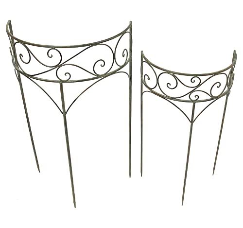 FRANK FLECHTWAREN Pflanzenstütze Antik im 2er Set, Maße: 35 x 18 x 65 cm, 45 x 22 x 76 cm, schöner Antik Look, praktisch FRANK FLECHTWAREN Pflanzenstütze Antik im 2er Set, Maße: 35 x 18 x 65 cm, 45 x 22 x 76 cm, schöner Antik Look, praktisch von FRANK FLECHTWAREN