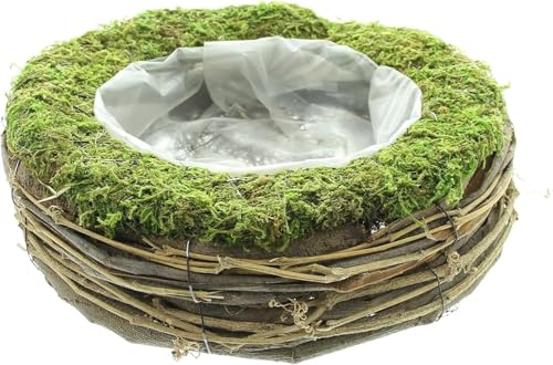 FRANK FLECHTWAREN Pflanzer Natur, Naturmoos, Metall, Luffa-Weinreben, Weidenrinde, ausgeschlagen mit Folie Maße: Ø 26 x 9 cm, Innen-Ø 15 cm von FRANK FLECHTWAREN