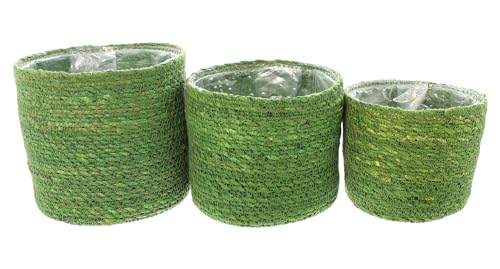 FRANK FLECHTWAREN Pflanzkorb Green, 3er Set, Seegras, ausgeschlagen mit Folie Maße: Ø 14 x 12 cm, Ø 16 x 14 cm, Ø 18 x 16 cm von FRANK FLECHTWAREN