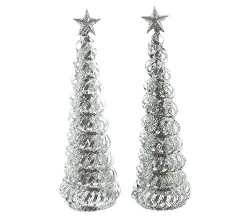 FRANK FLECHTWAREN Tanne Silbersternchen, 2er Set, Dekotanne, Weihnachtsdeko, Metallkegel, Kunststoffverzierung, Maße: Höhe 30 cm FRANK FLECHTWAREN Tanne Silbersternchen, 2er Set, Dekotanne, Weihnachtsdeko, Metallkegel, Kunststoffverzierung, Maße: Höhe 30 cm von FRANK FLECHTWAREN