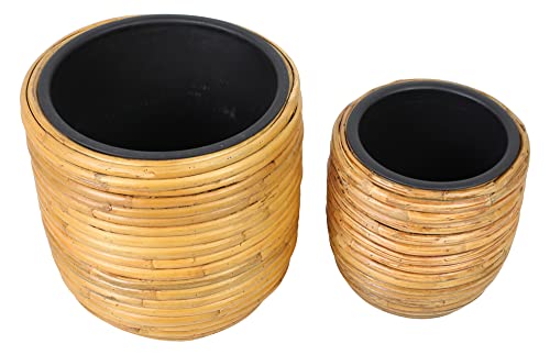 FRANK FLECHTWAREN Übertopf Rattan im 2er Set, Dekotopf Ø 24 x 25 cm, Insert Ø 21 x 19 cm, Ø 33 x 33 cm, Insert Ø 30 x 26 cm von FRANK FLECHTWAREN