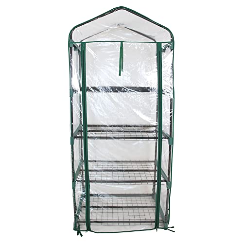 Folien-Gewächshaus "Green", hoch von FRANK FLECHTWAREN