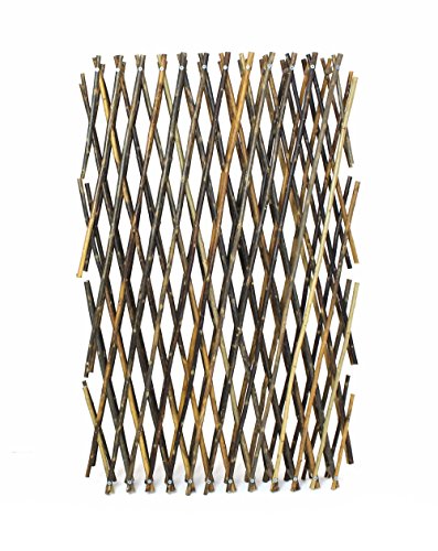 Frank Flechtwaren Weidenzaun "Ziehharmonika", ca. Breite 24 cm bis max. 210 cm, Höhe 55 cm bis max. 85 cm, vielseitig anwendbar von FRANK FLECHTWAREN